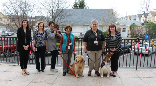 Creature Comfort Pet Therapy visits BASCS Elementary