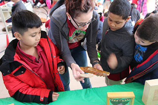 PASCS Elementary students attend Insects Rock