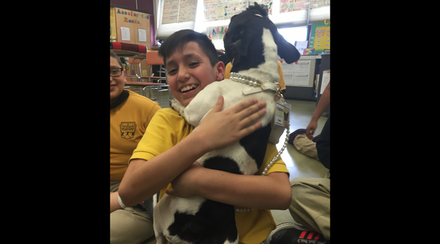 4th grade Pet Reading