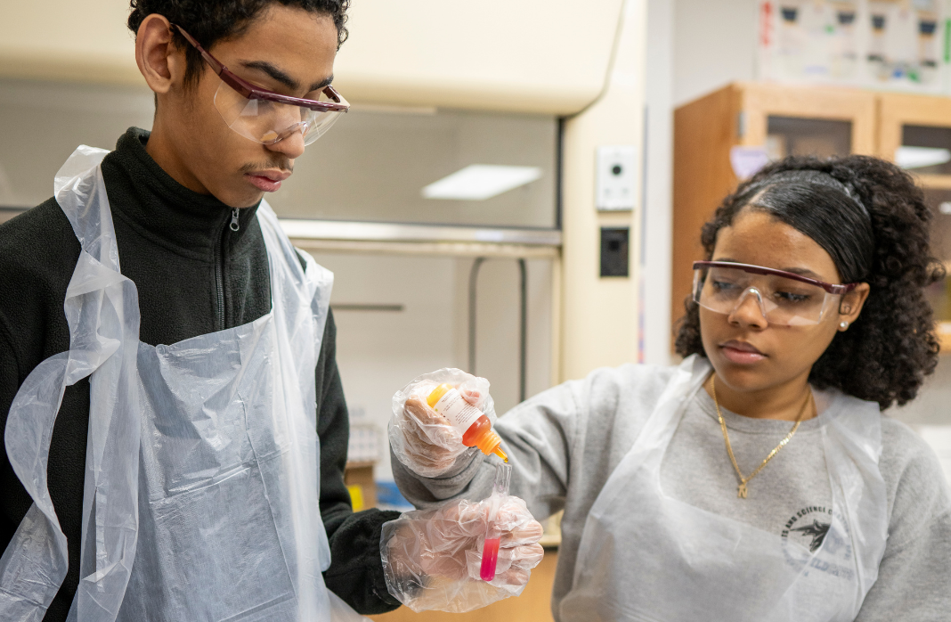 the value of STEM in schools