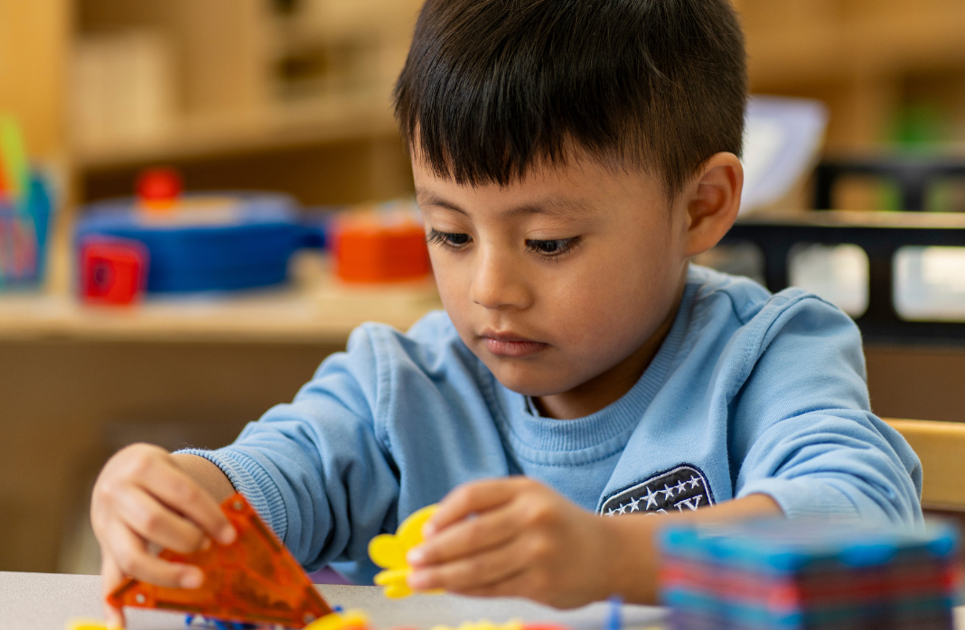 does primary school matter
