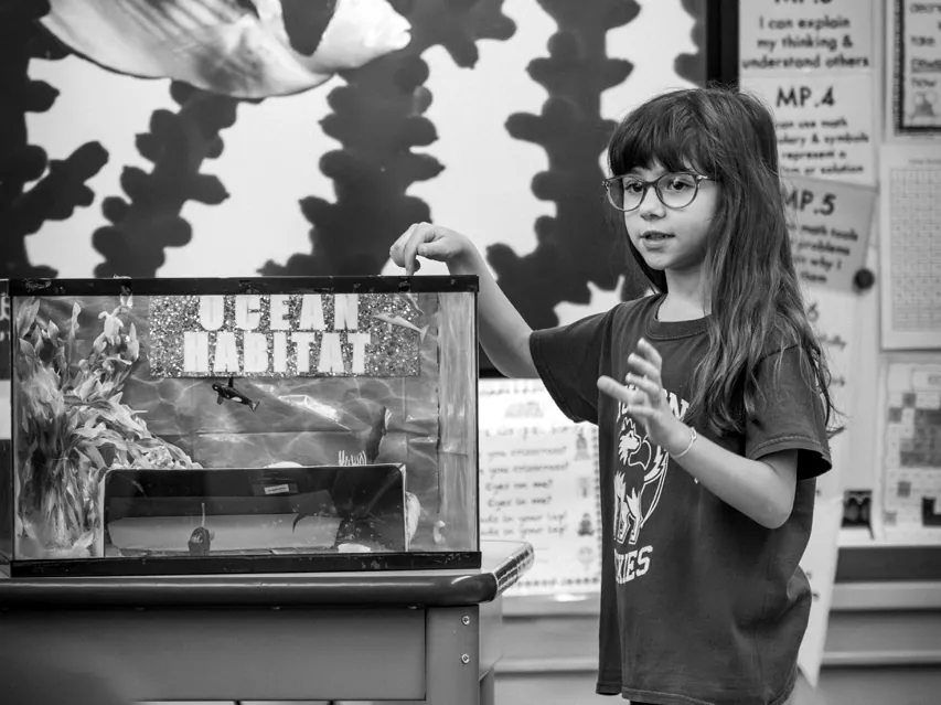 A student presenting an ocean habitat project