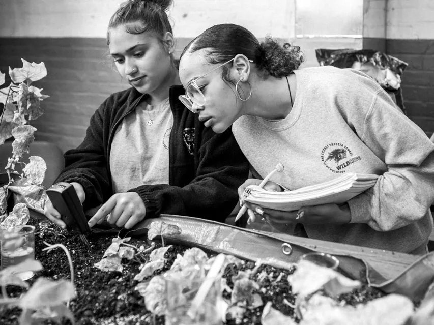 Two students examining plants in a science lesson